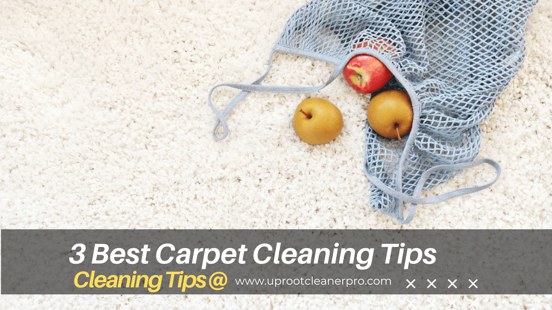 3 best carpet cleaning tips
