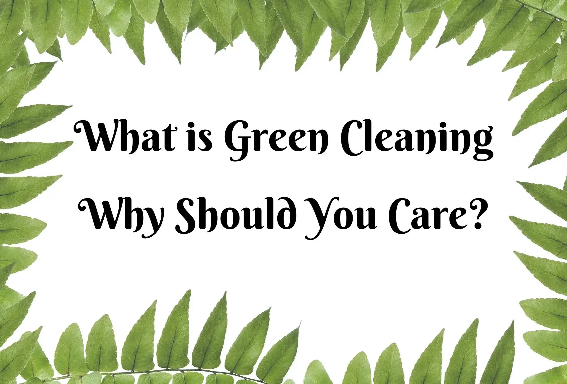 What is Green Cleaning Why Should You Care
