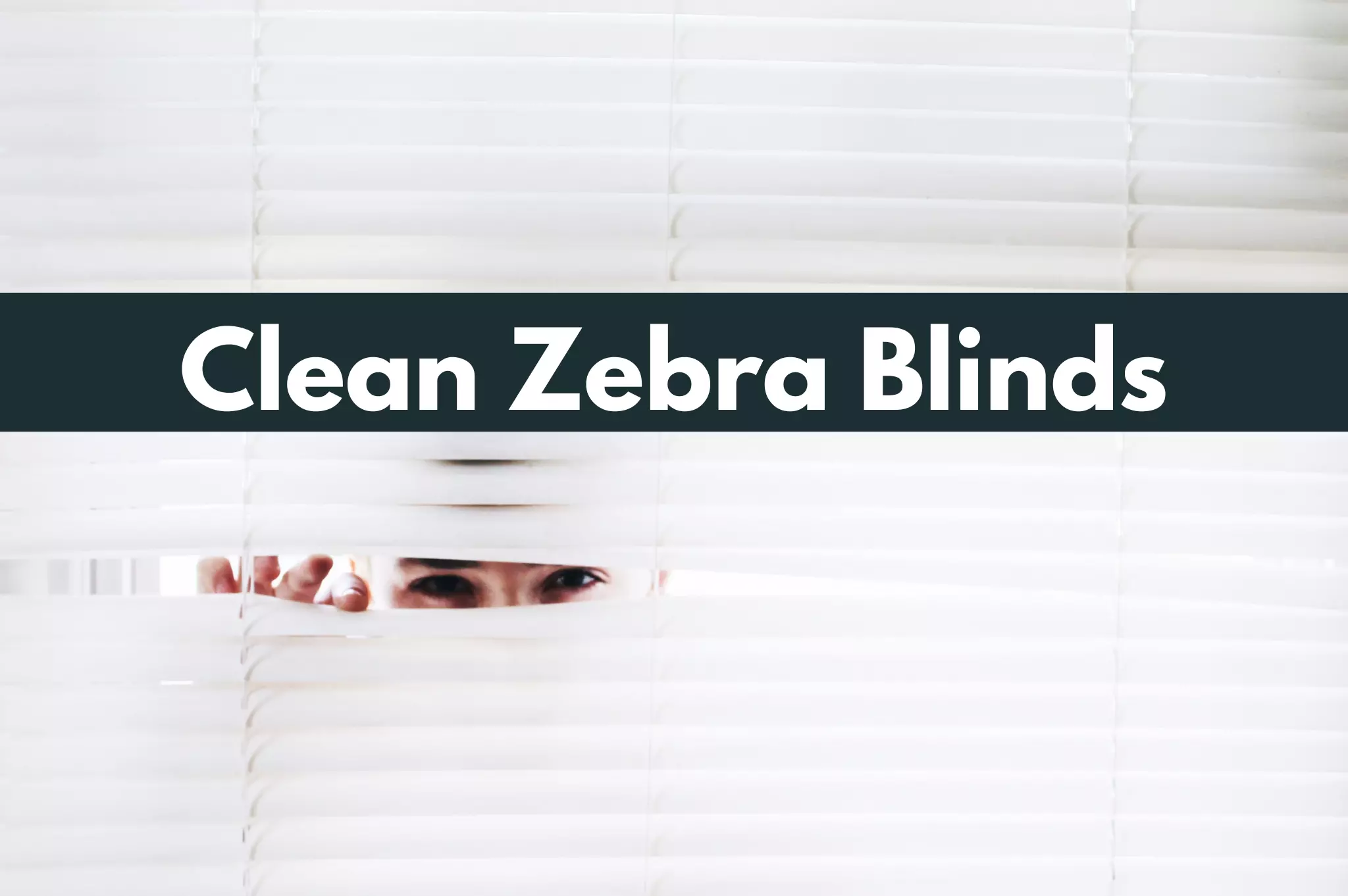 how to clean zebra blinds