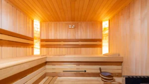 Top 5 Best Outdoor saunas for Home of 2023