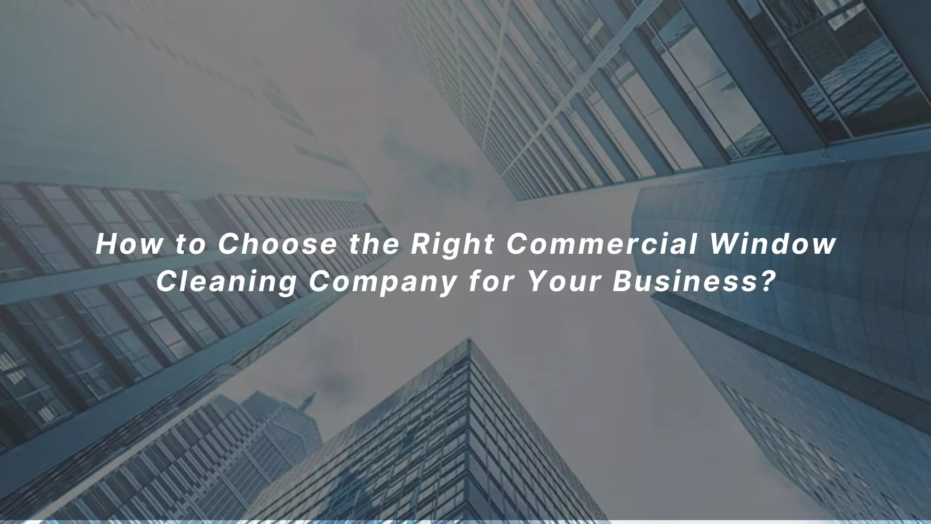 How to Choose the Right Commercial Window Cleaning Company for Your Business