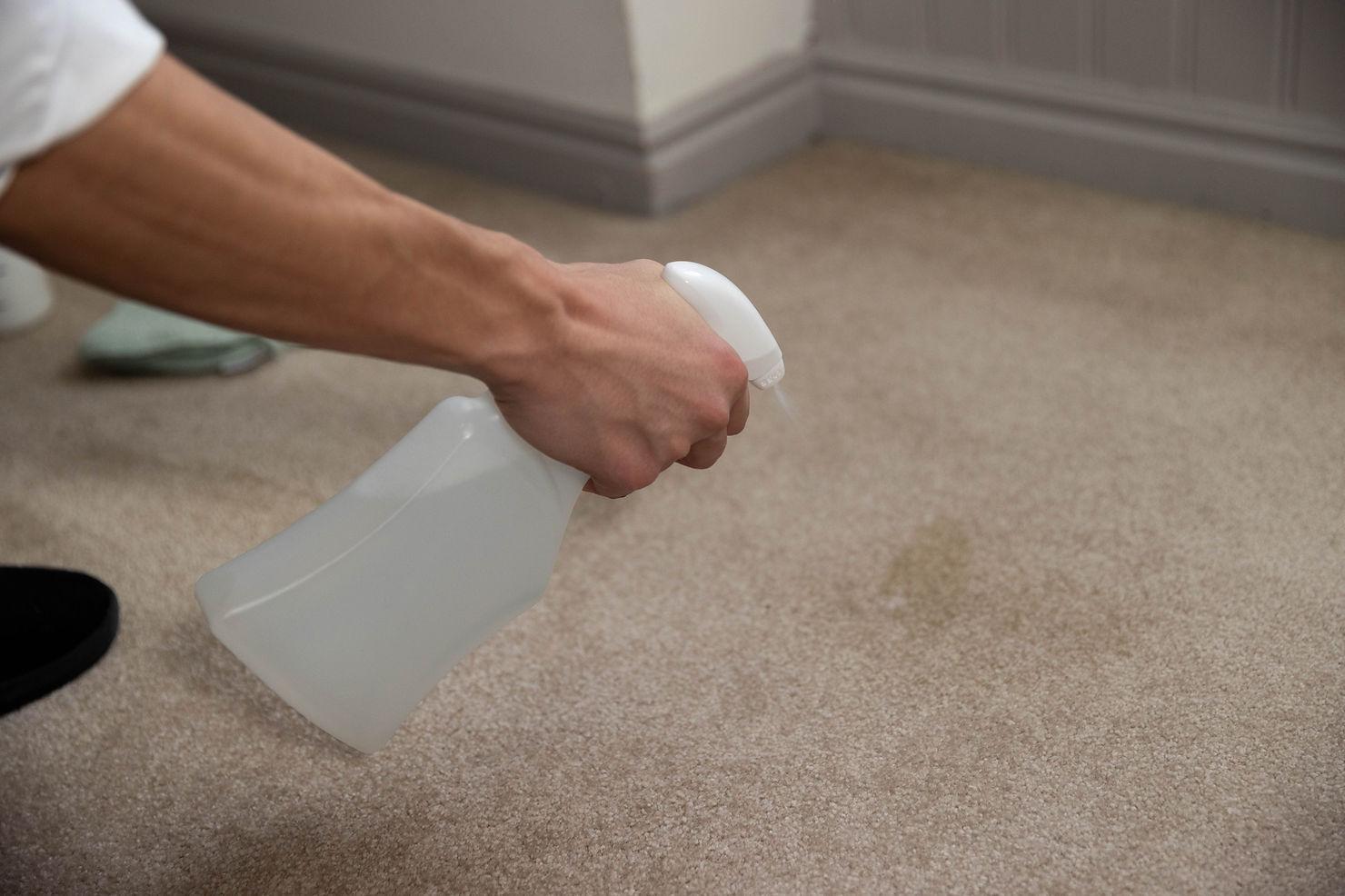 DIY Carpet Stain Removal – 6 Easy Steps from A Pro